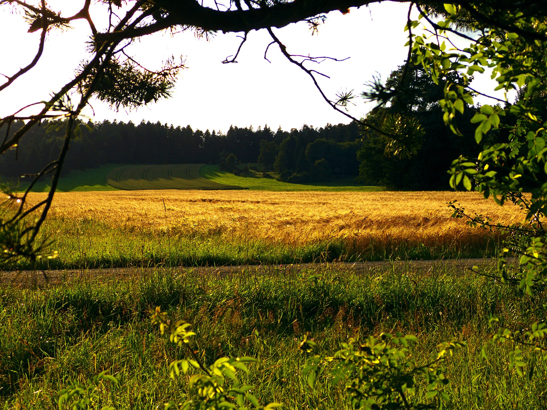 Risiberg (Dürbheim) → Tuttlingen