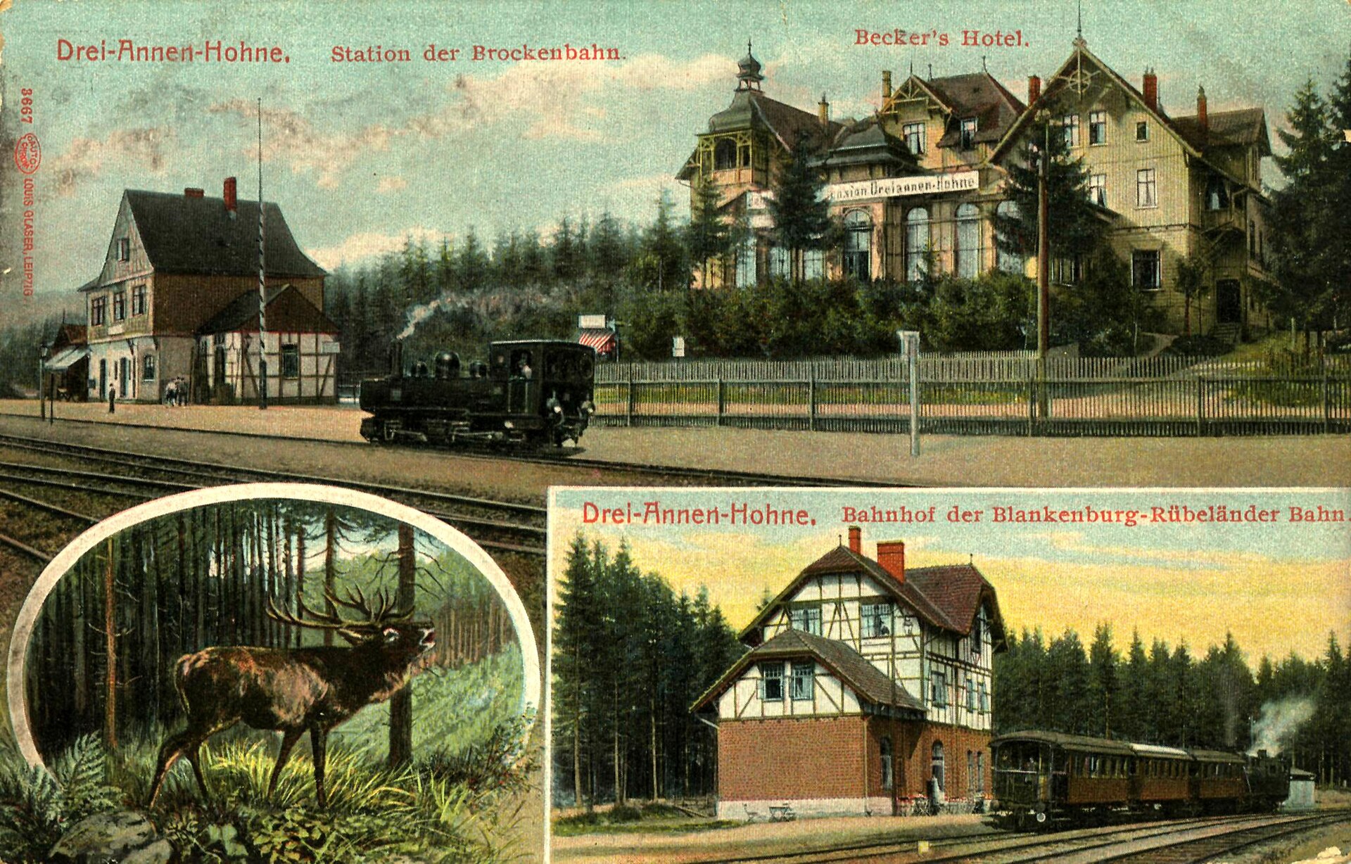 Torfhaus → Drei Annen Hohne