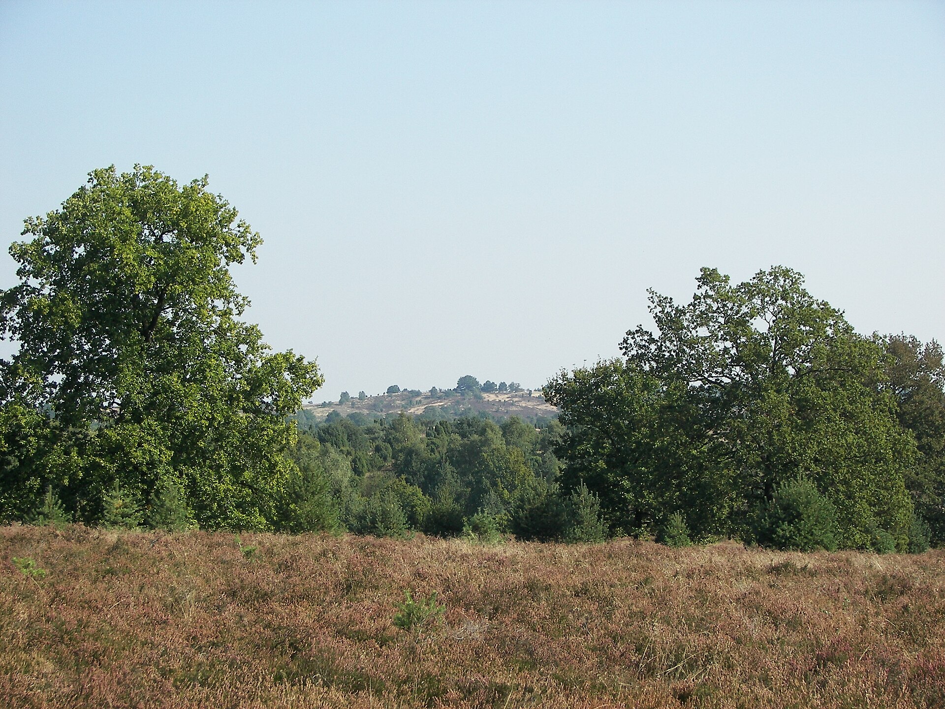 Undeloh → Niederhaverbeck
