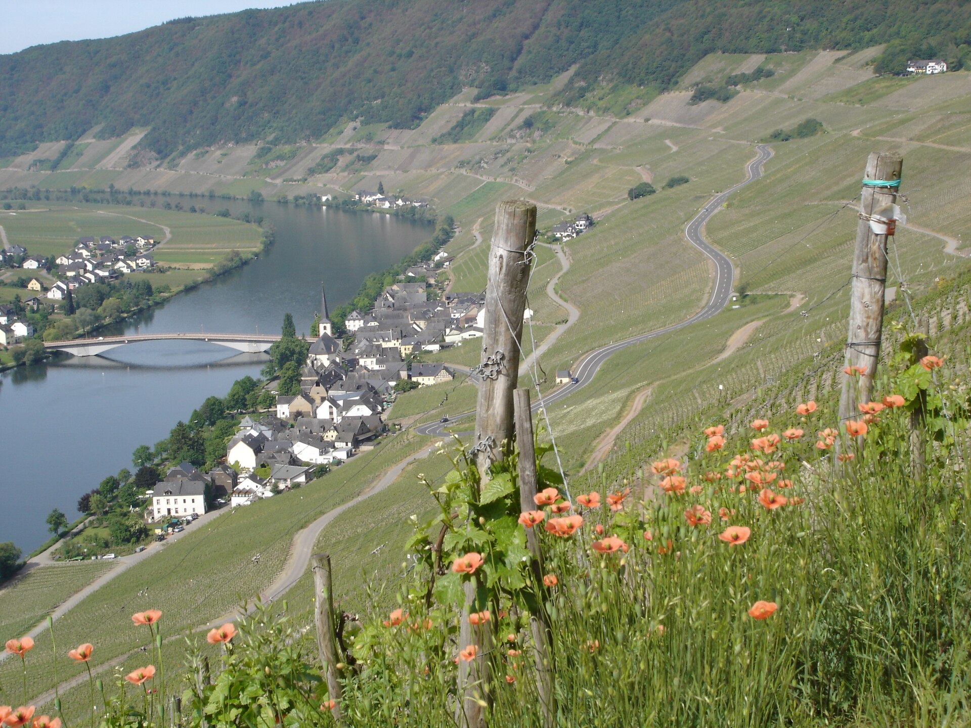 Mehring → Piesport