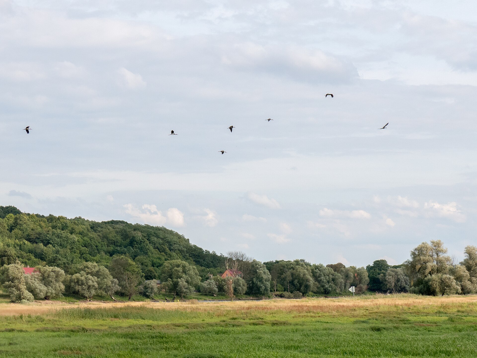 Hohenwutzen → Schwedt/Oder