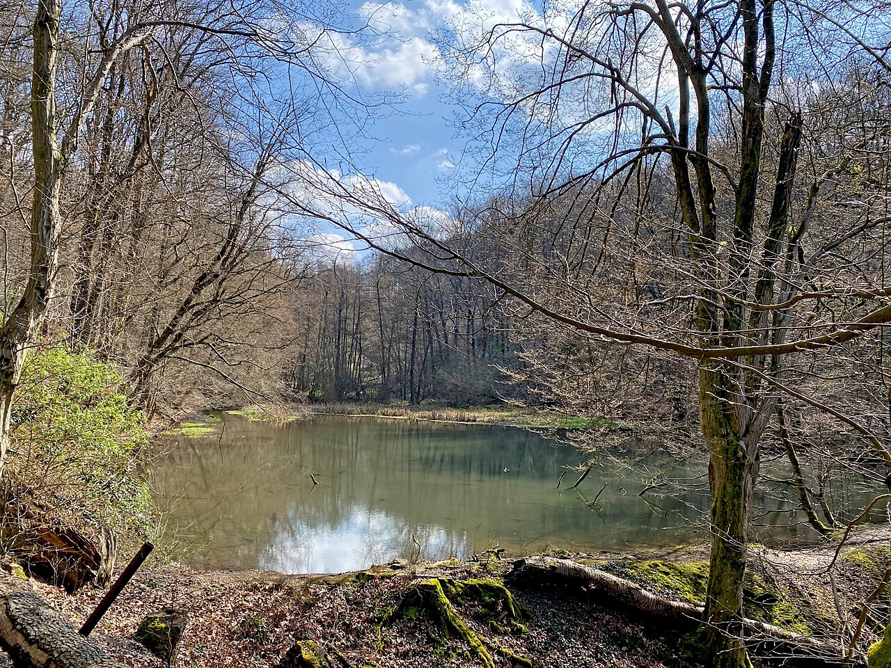 Röntgenweg - Etappe 3: Gerstau bis Remscheid-Lennep