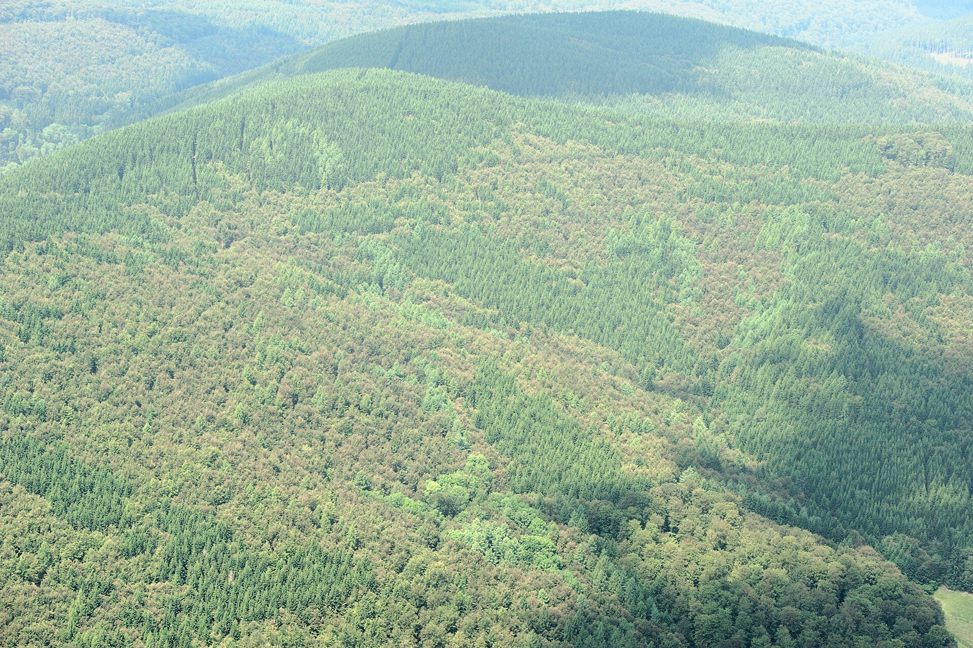 Brilon → Willingen (Upland)