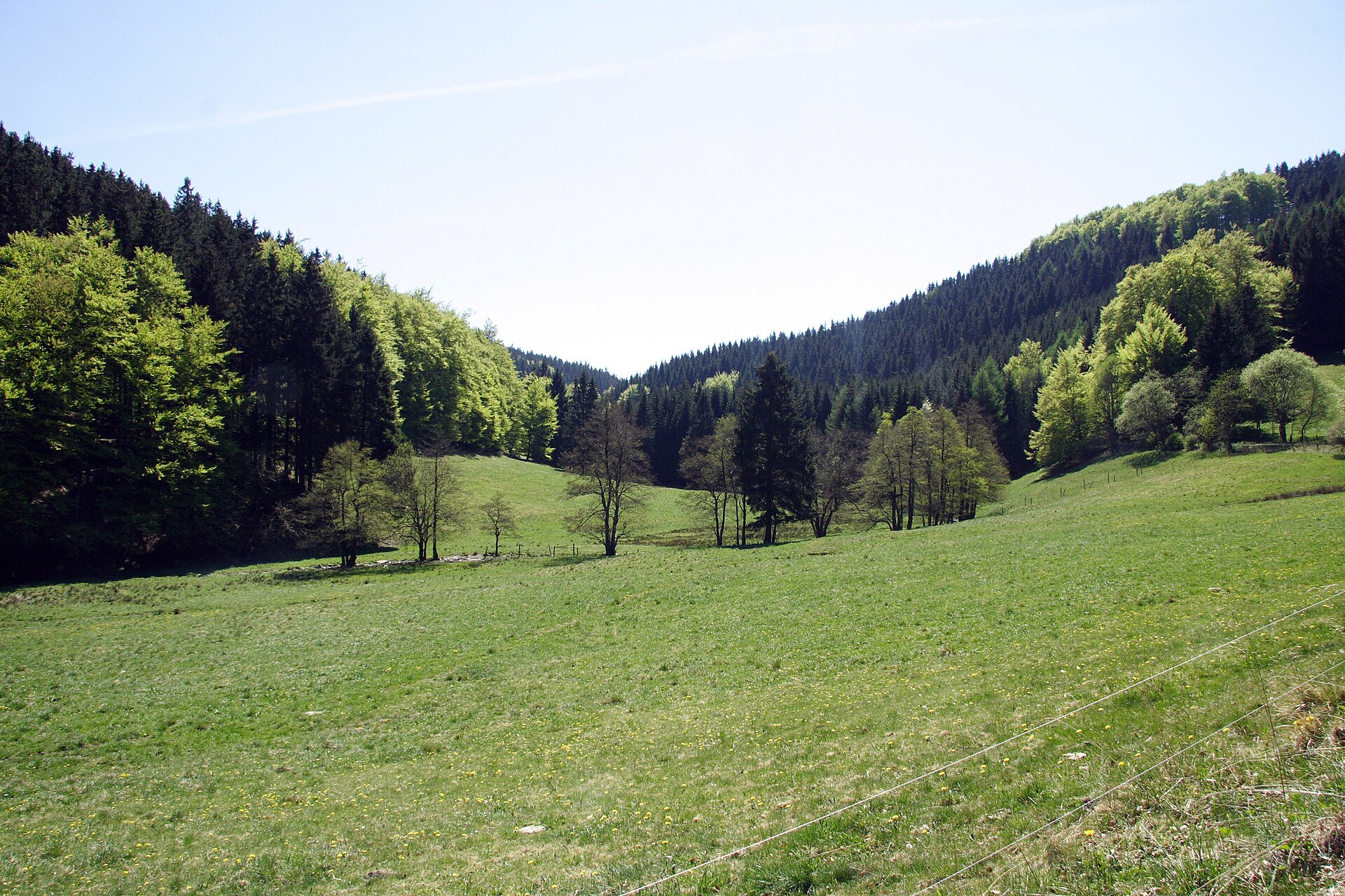 Willingen (Upland) → Winterberg