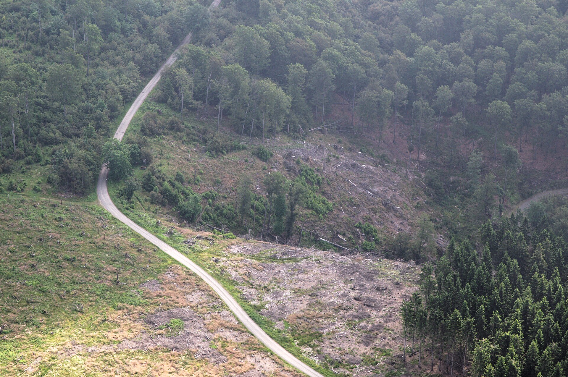 Schmallenberg-Schanze → Rhein-Weser-Turm