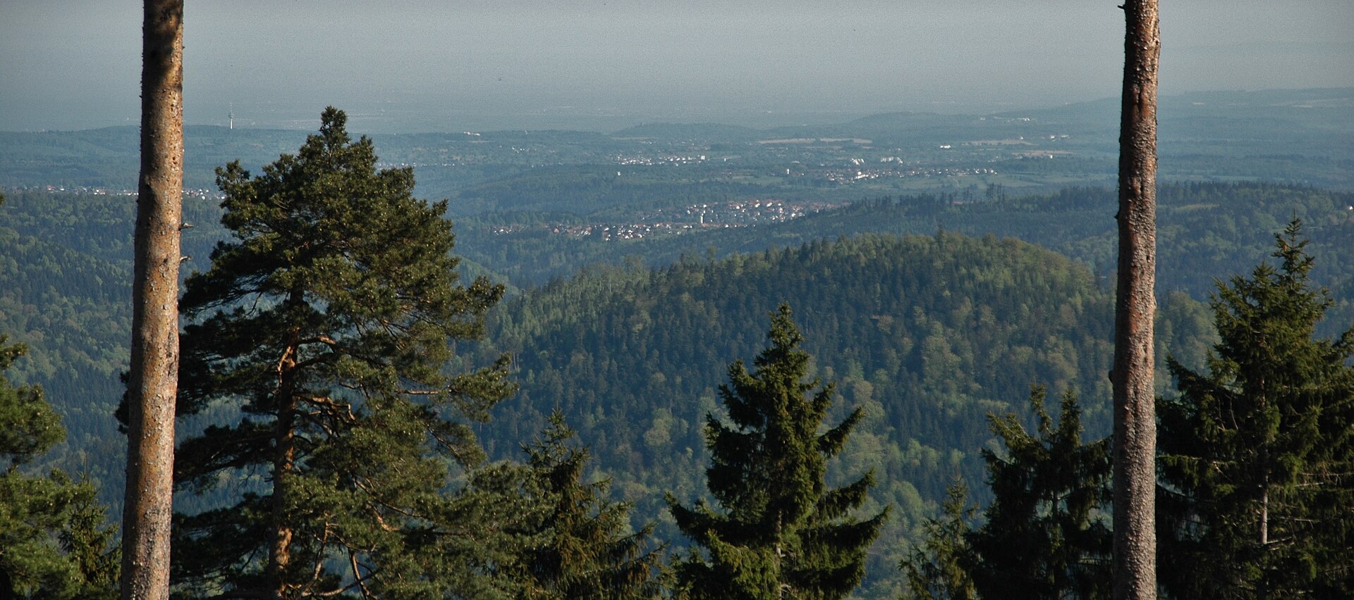 Dobel → Forbach