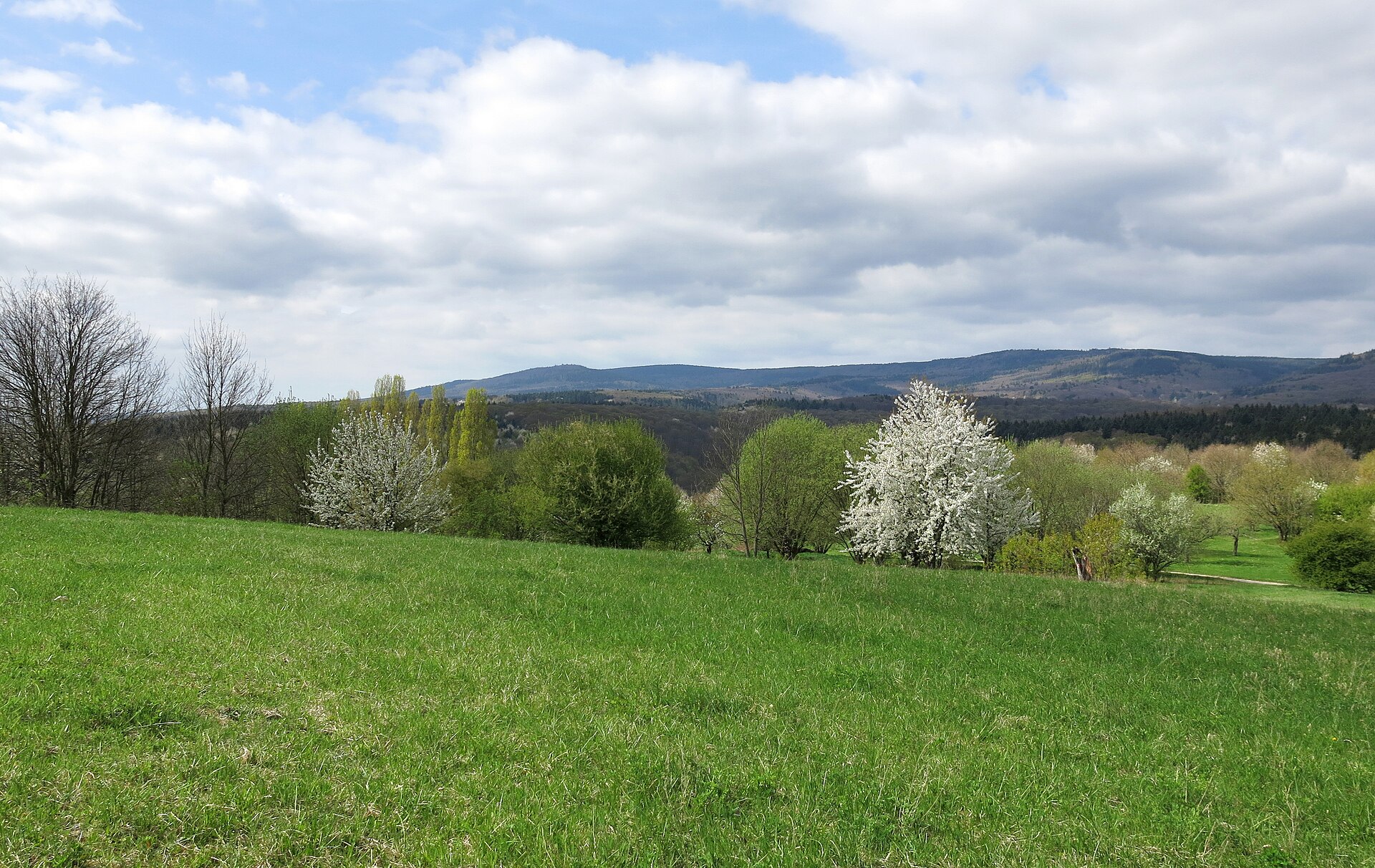 Kalte Herberge → Hinterzarten