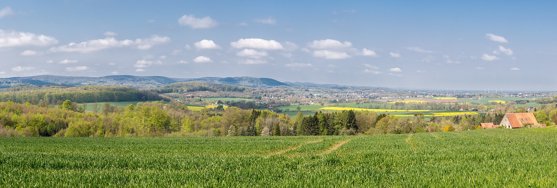 Abwechslungsreiche Wege